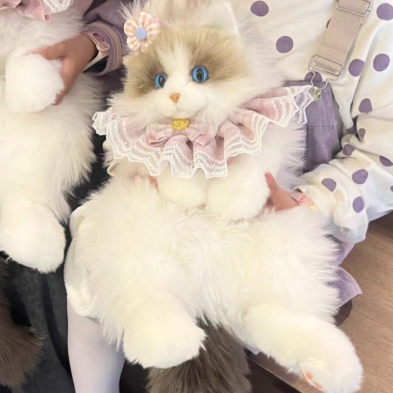 2026 Neu auf Lager: Ragdoll-Ka – Travel Accessories Ideas Bewertung und Preis