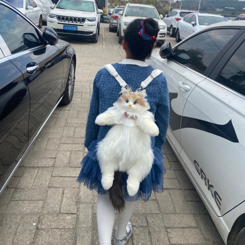 2026 Neu auf Lager: Ragdoll-Ka – Travel Accessories Ideas Bewertung und Preis
