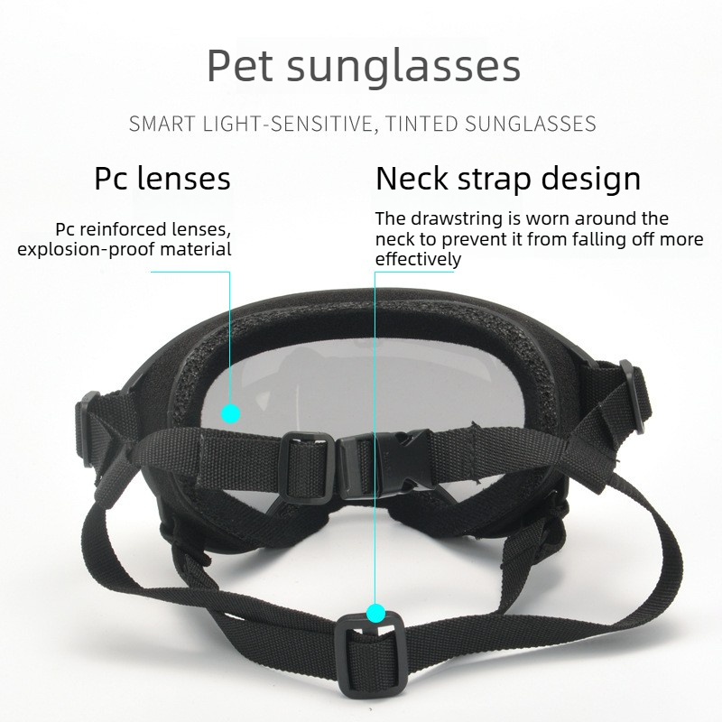 Haustier-Schutzbrille, Wind-,  – Travel Accessories Ideas Bewertung und Preis